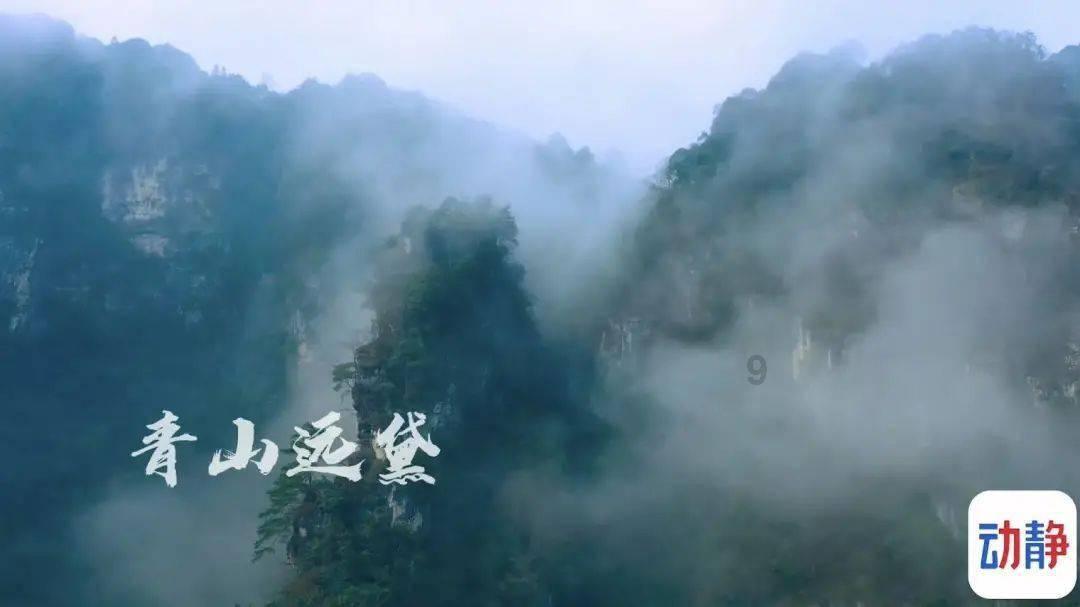 拯救可爱小浣熊